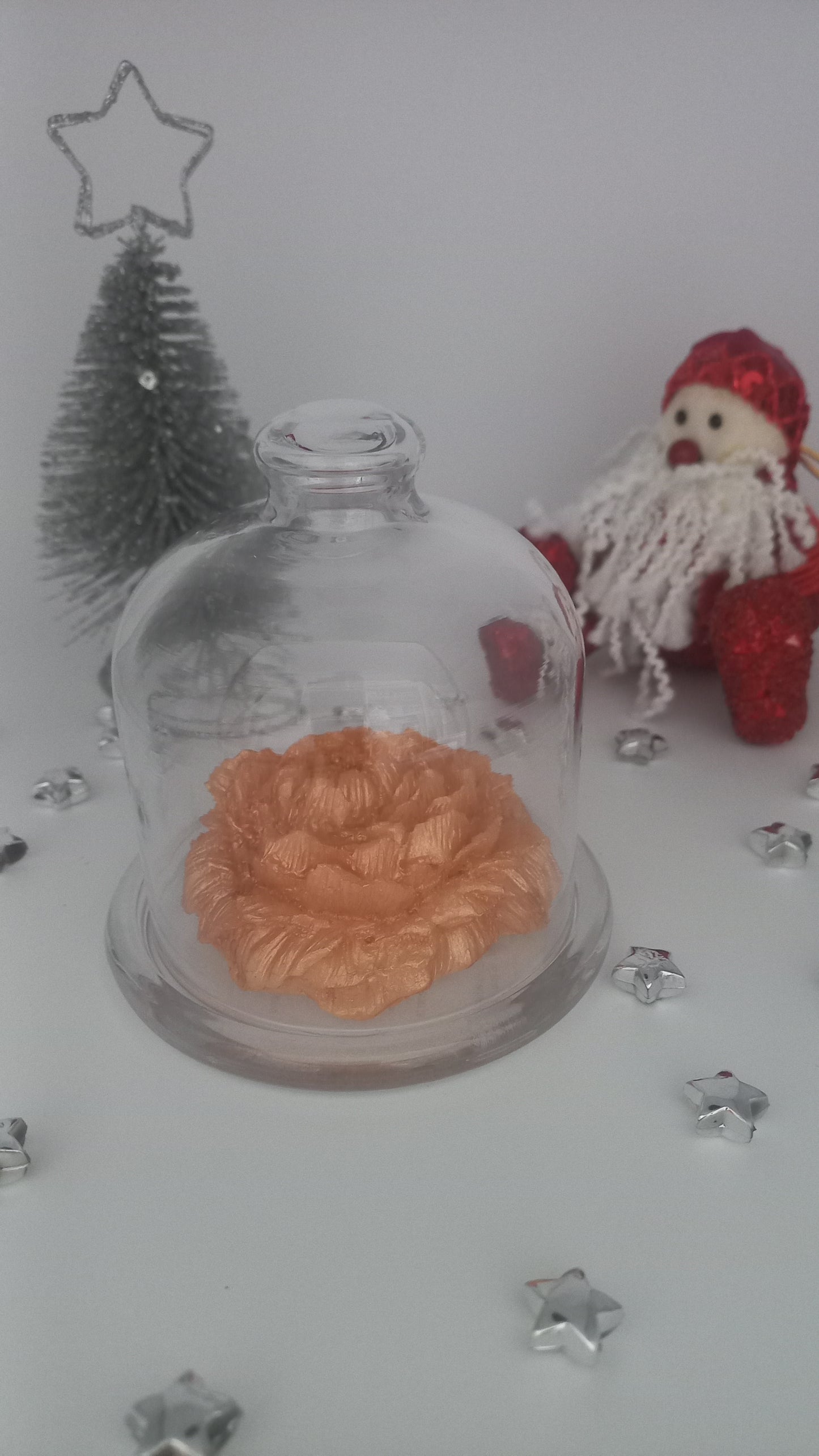 Fondant pivoine et sa cloche en verre