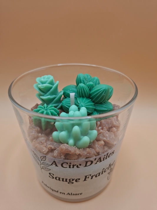 Bougie sauge fraîche