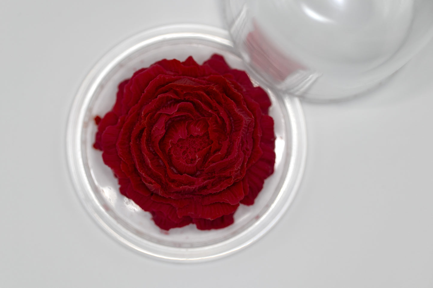 Fondant pivoine et sa cloche en verre