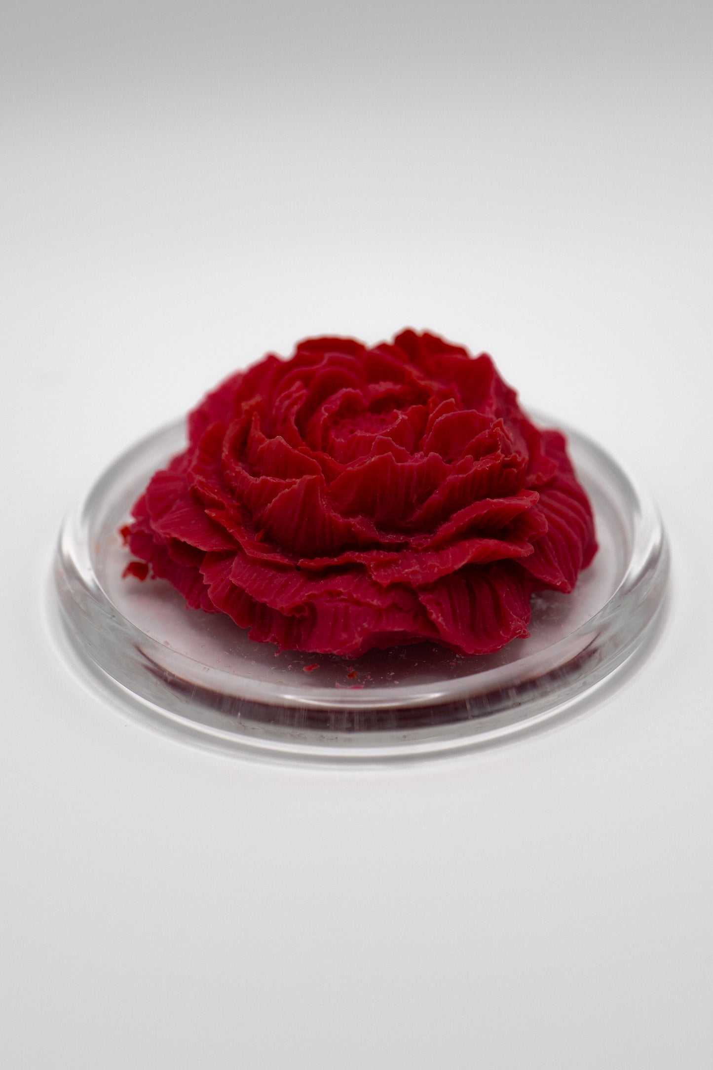 Fondant pivoine et sa cloche en verre