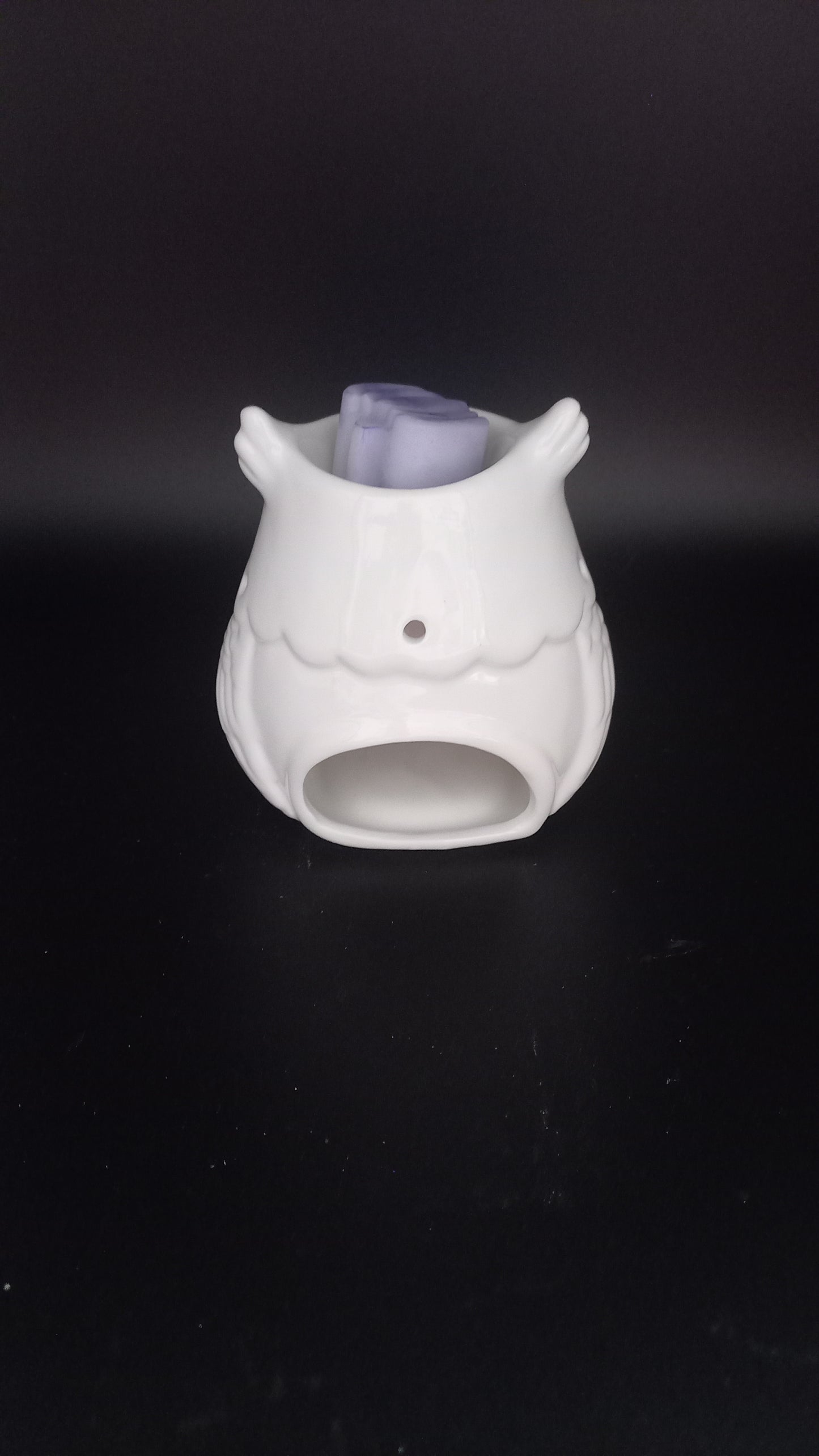 Brûleur Hibou blanc