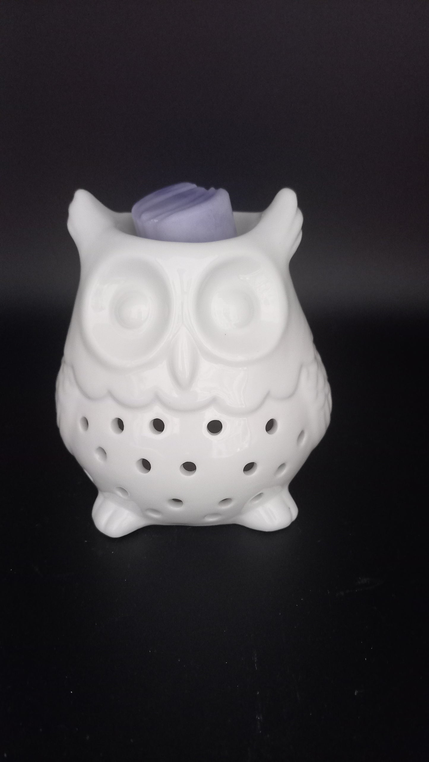 Brûleur Hibou blanc