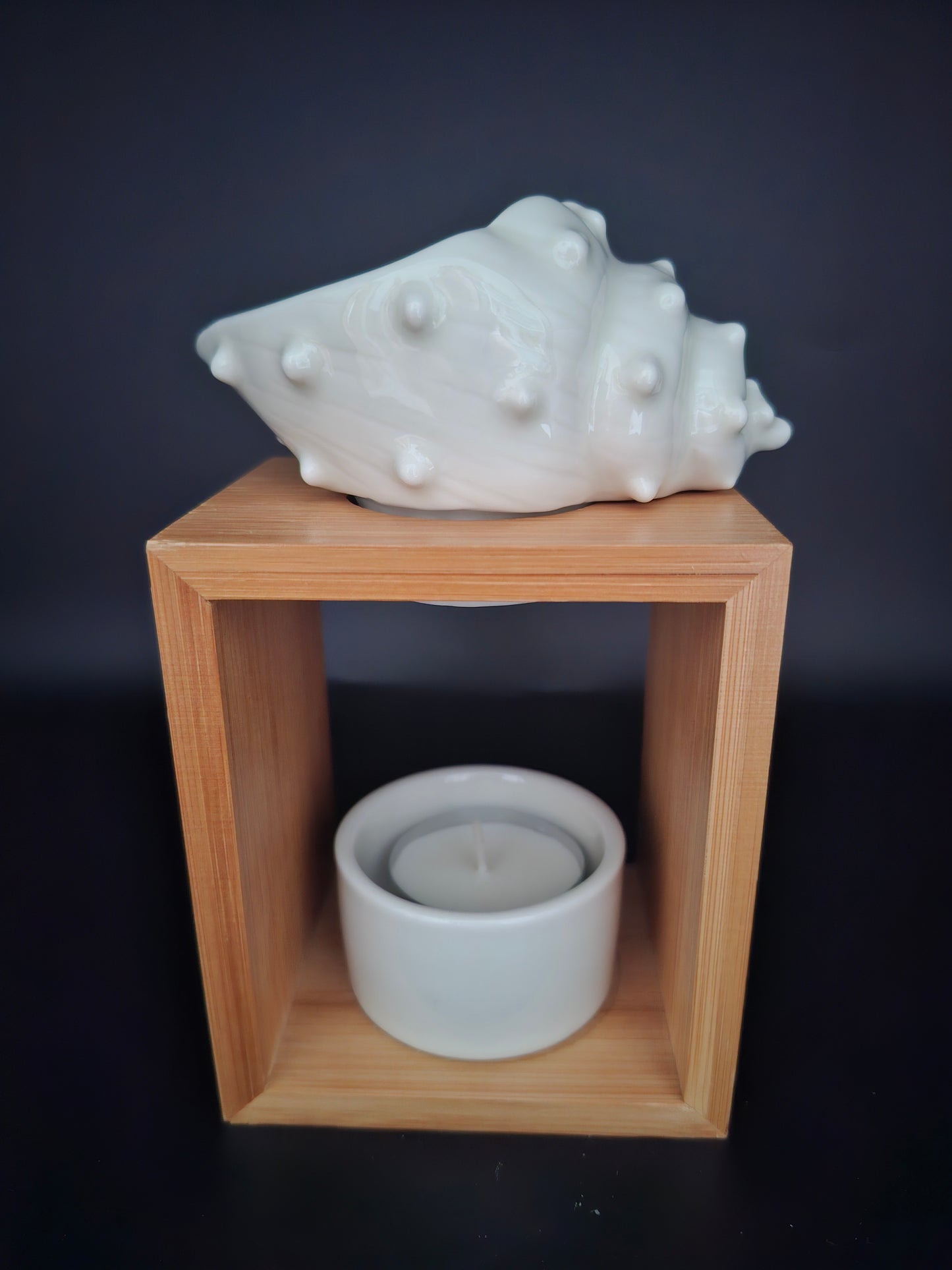 Brüleur shell (coquillage)