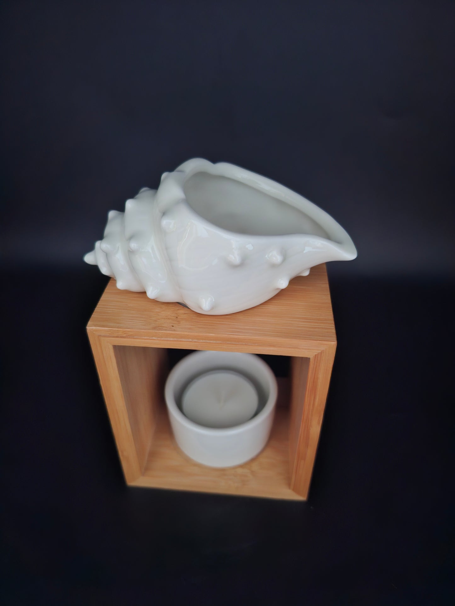 Brüleur shell (coquillage)