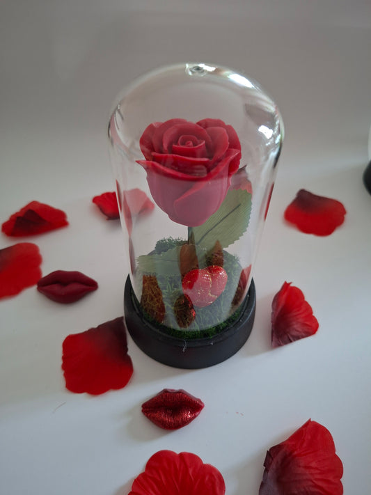 Rose éternelle dans sa cloche