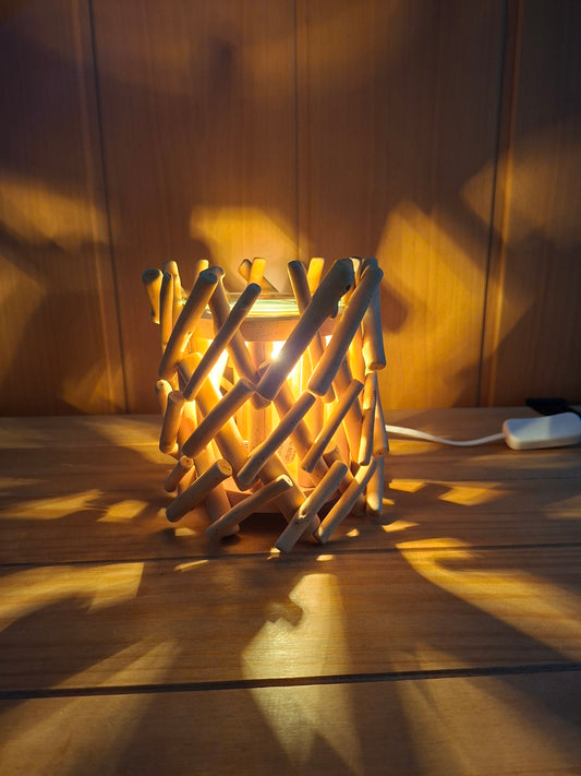 Bruleur calorya électrique