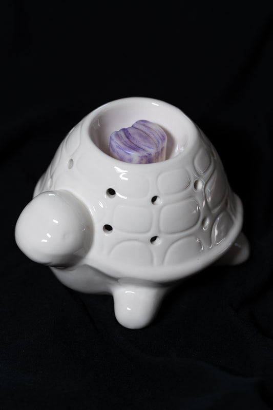 Brûleur tortue Frankiln