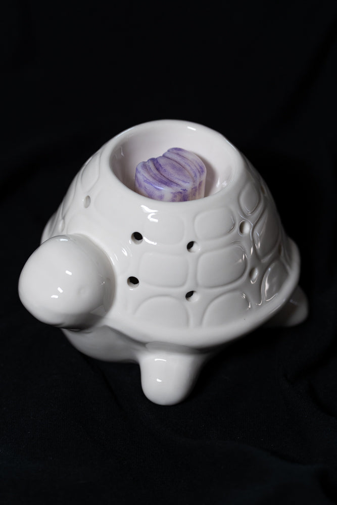 Brûleur tortue Frankiln