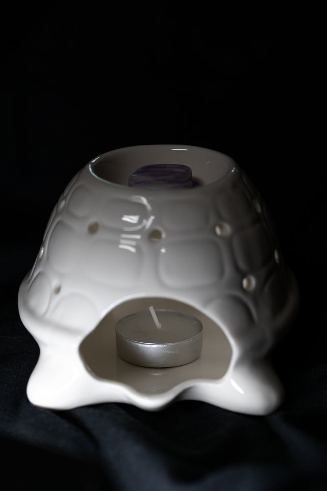 Brûleur tortue Frankiln