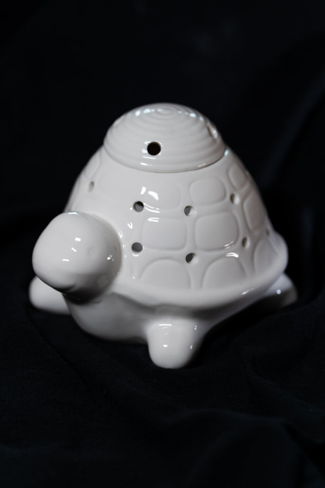 Brûleur tortue Frankiln